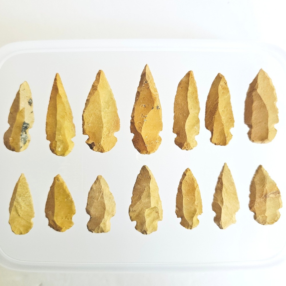 14pc Yellow Chert Arrowhead Collectionβ Side Notched Projectile Points Archaic